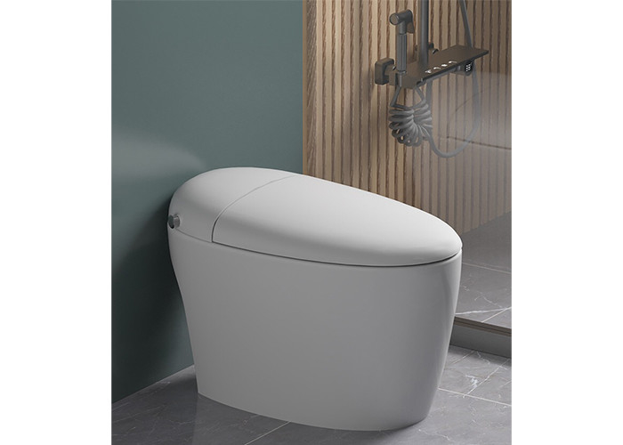 HOMIXE Bathroom Luxury Sensor Electric Automatic Flush Wc Bidet Ceramic Floor One Piece