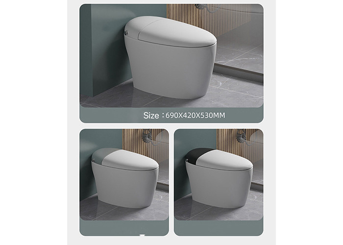 HOMIXE Bathroom Luxury Sensor Electric Automatic Flush Wc Bidet Ceramic Floor One Piece
