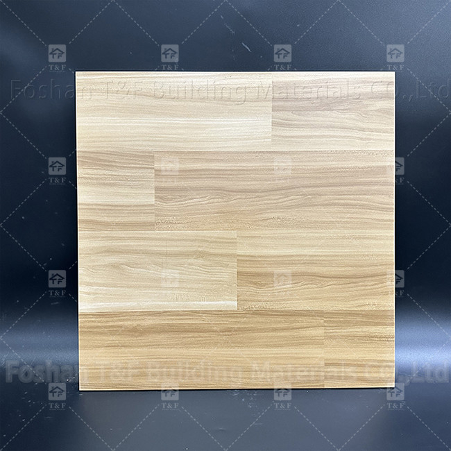 600x600 มิลลิเมตร กระเบื้องพื้นครบครัน กระเบื้องโปรเซลีนที่ไม่เลื่อน